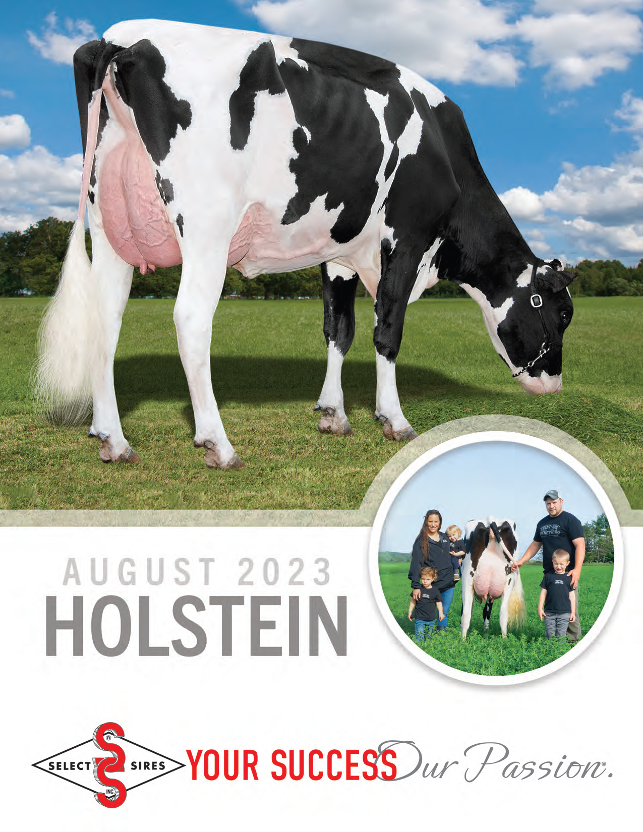 cover-holstein
