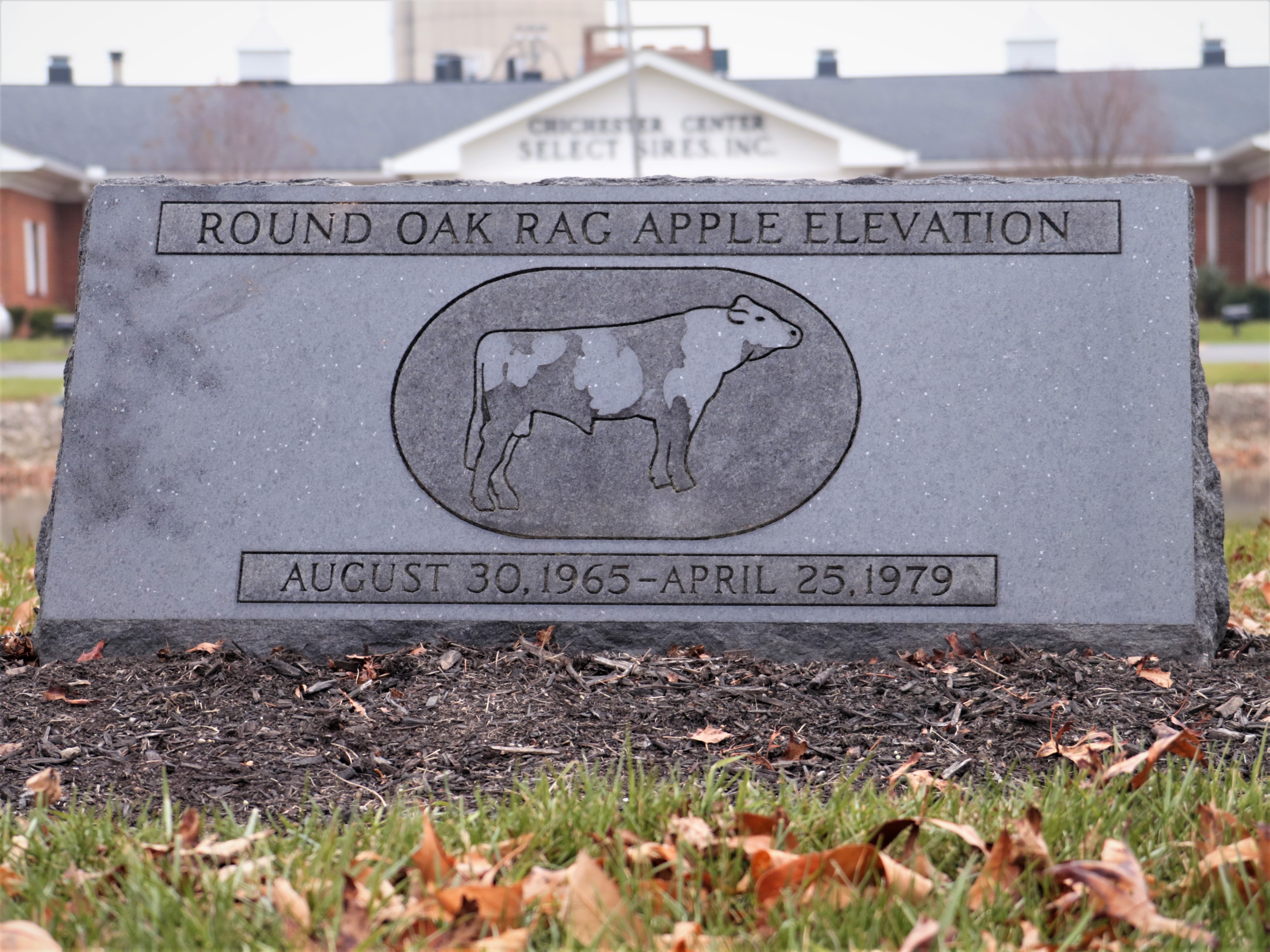 ELEVATION Headstone