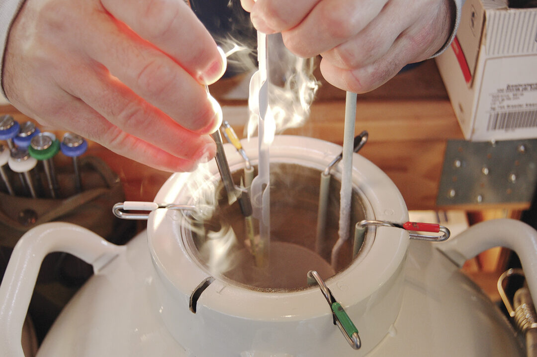 liquid nitrogen tank semen canister handling