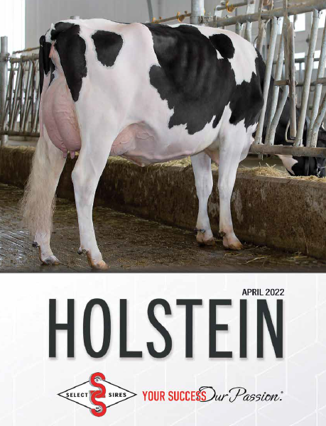 Holstein April 2022 Cover