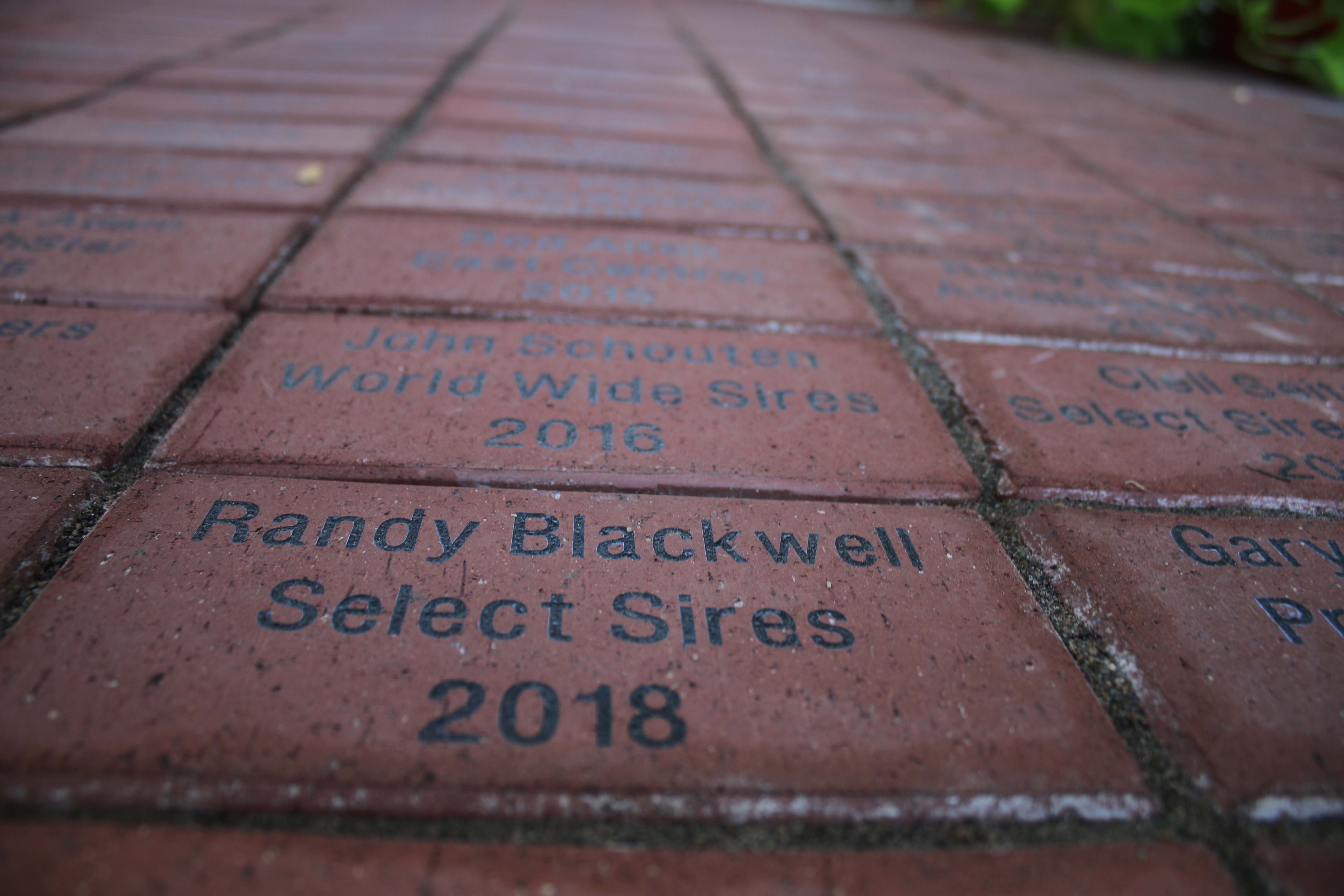 Select Sires employee brick pavers.