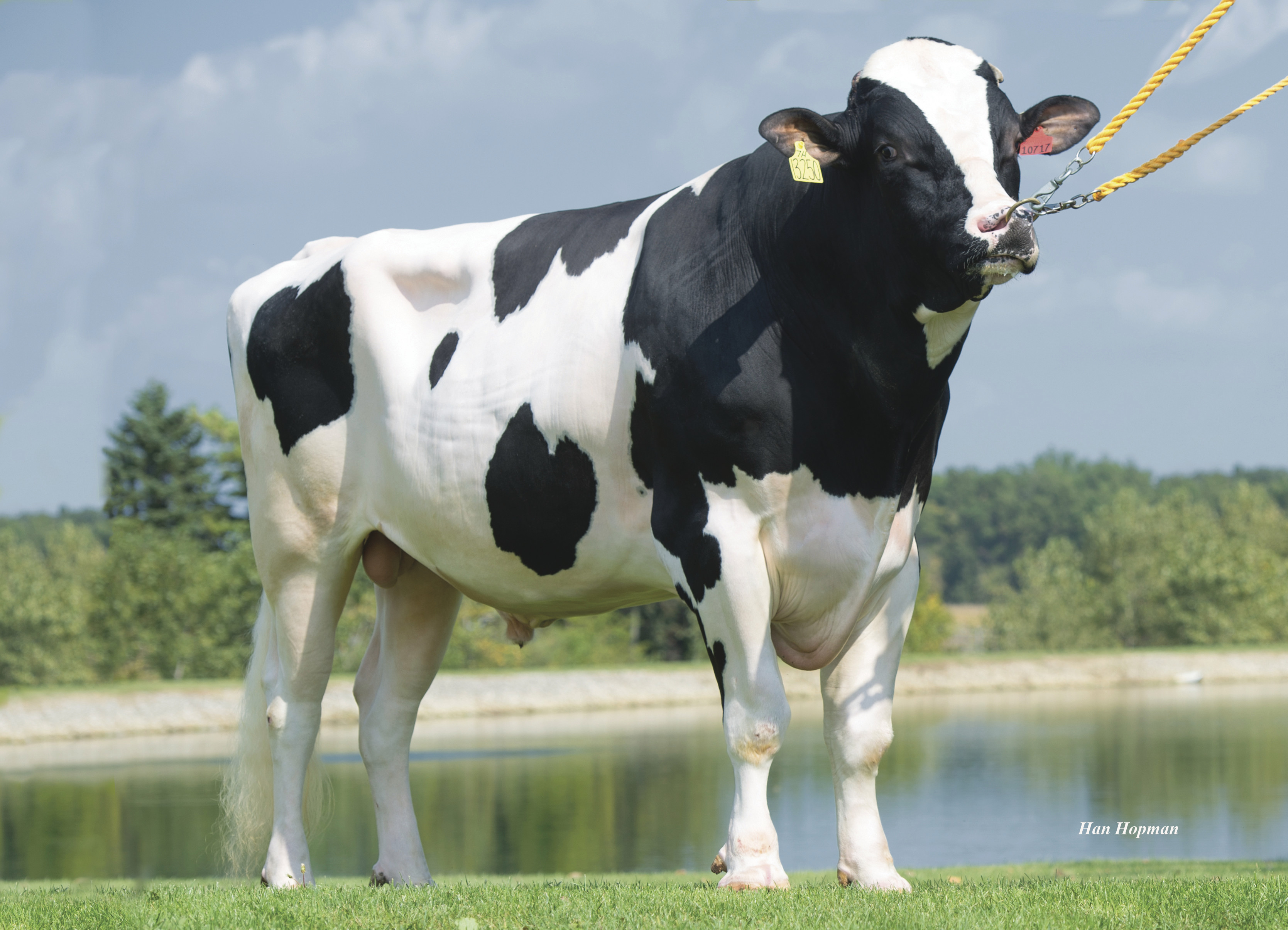 JEDI video thumbnail