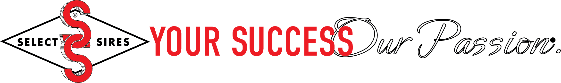 SS_BrandPromise_WithLogo_BlackBackgroundVersion_Outline