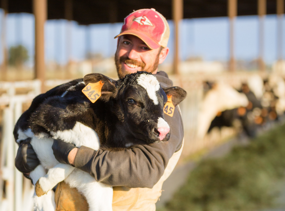 man holding calf