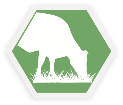 grazingpro icon