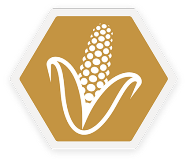 FeedPRO Icon