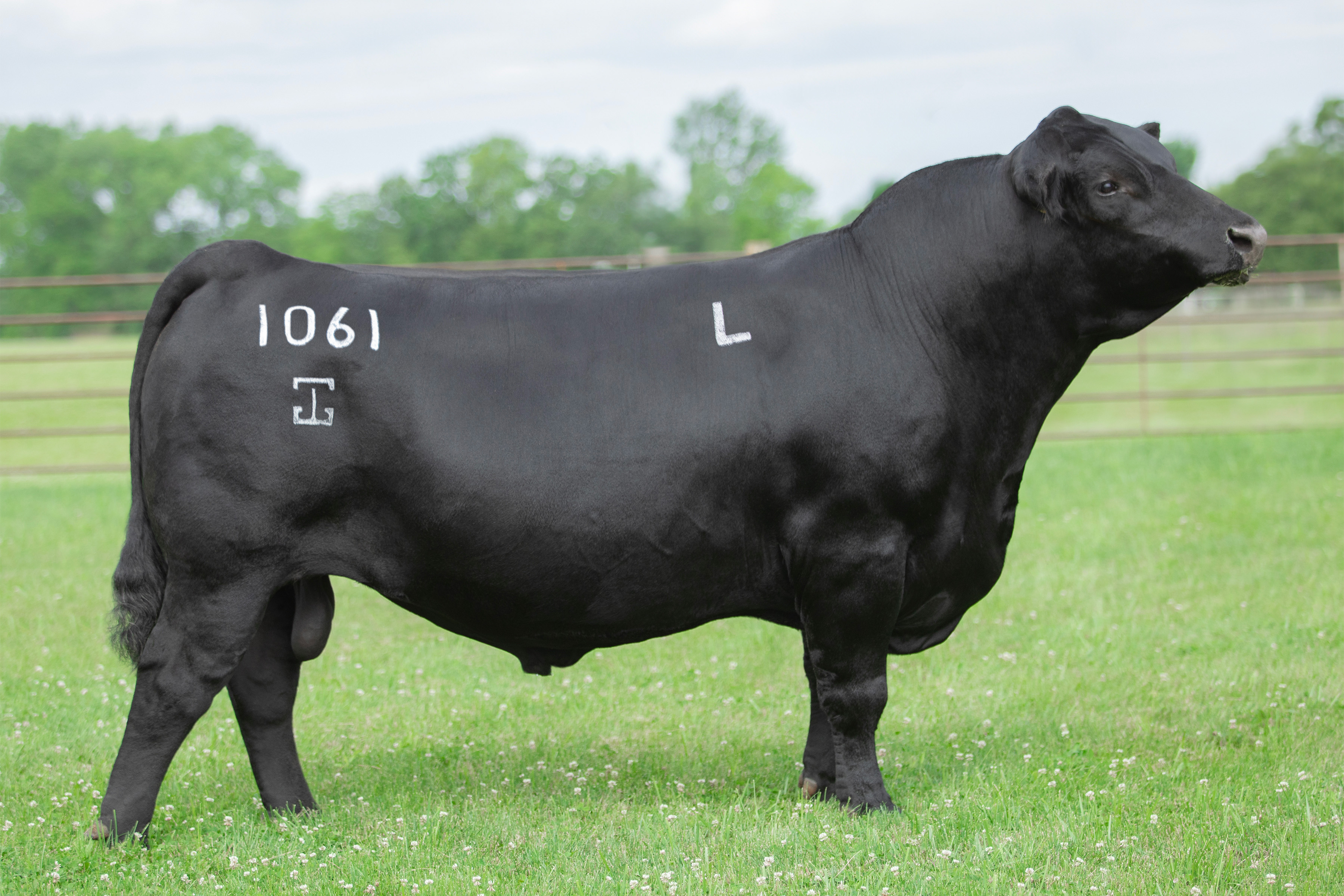 7AN759_Fireproof 2024-full