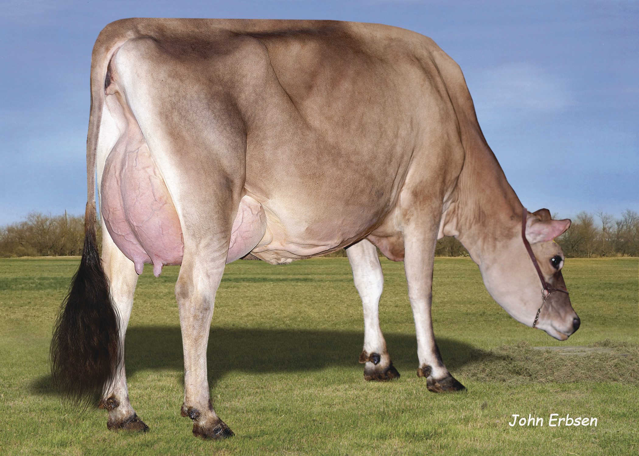 JX SSI Victory Goals 62420 {6}ET