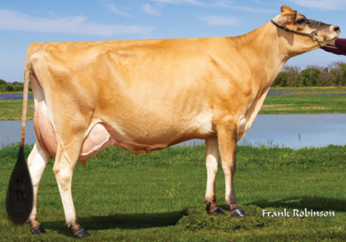 PRO-HART CHROME LORETTA {6}