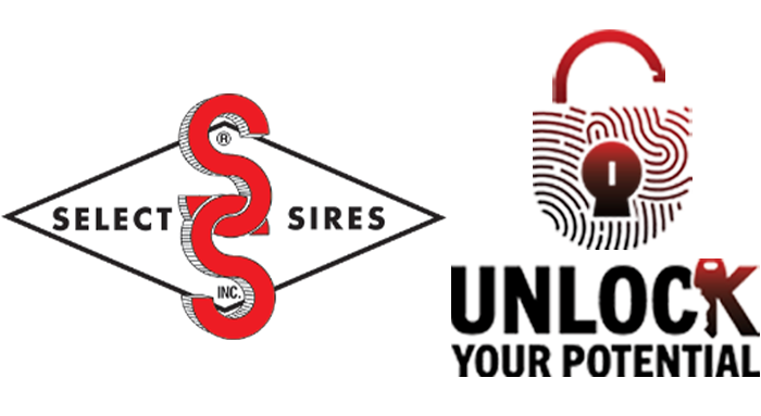 SSIandGlobalConference_logo_2