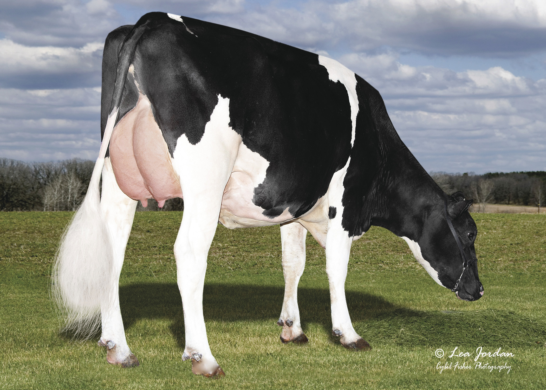 SSICumulus25625415ETRAHD_full