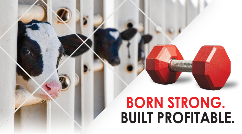 CalfWellness_Imagery