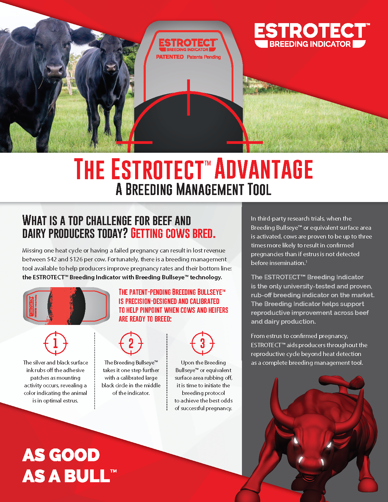 Estrotect Heat Estrus Detector Patches EstroAlert 5 ct YELLOW AI Breeding Cattle