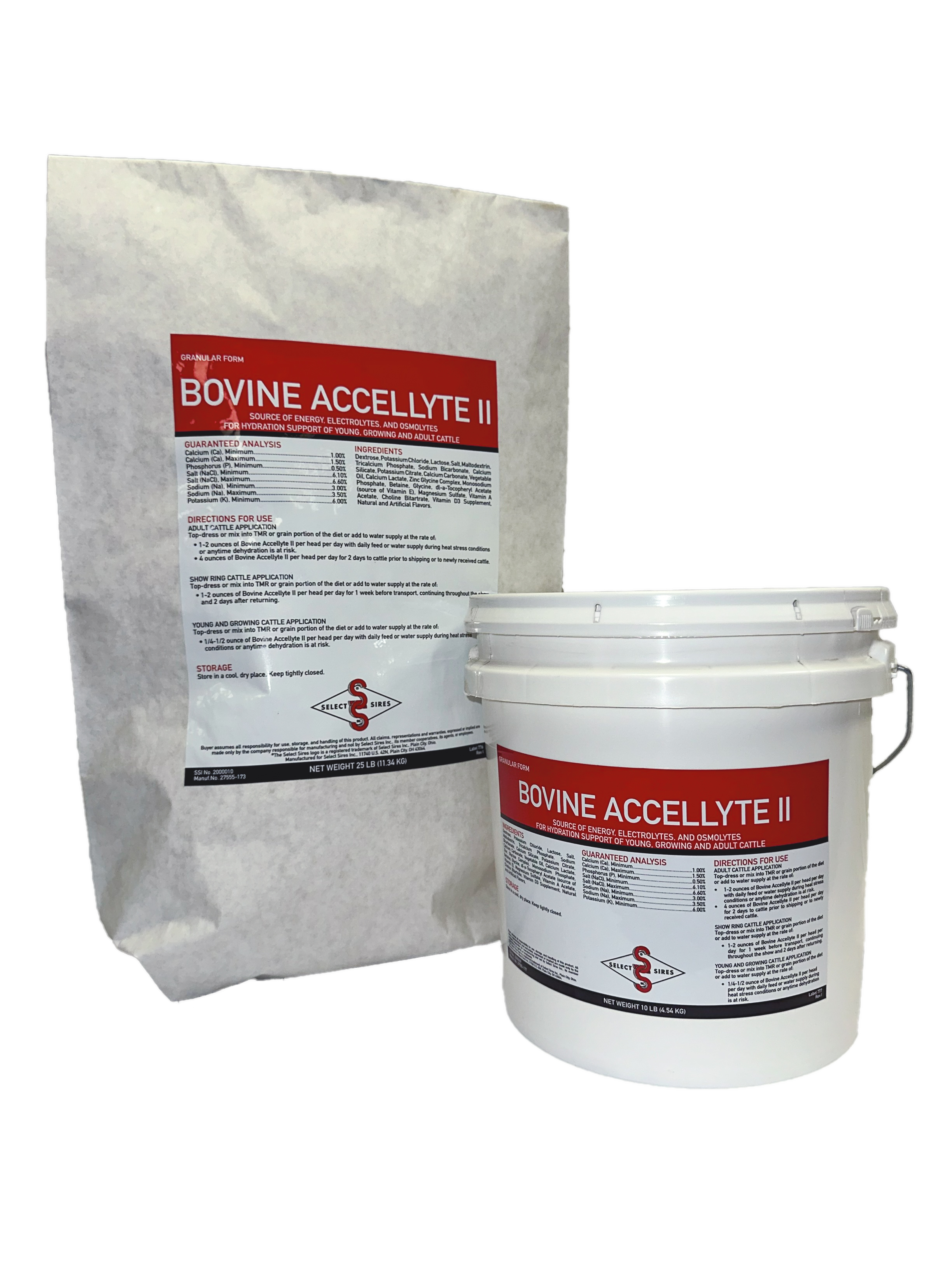 0224_BovineAccellyteII_Group